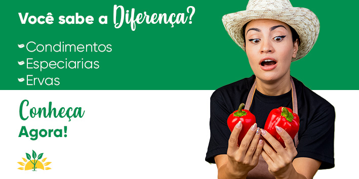 Diferena entre ervas, especiarias e condimentos